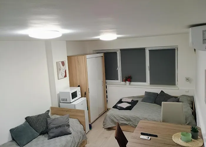 болярска10 *